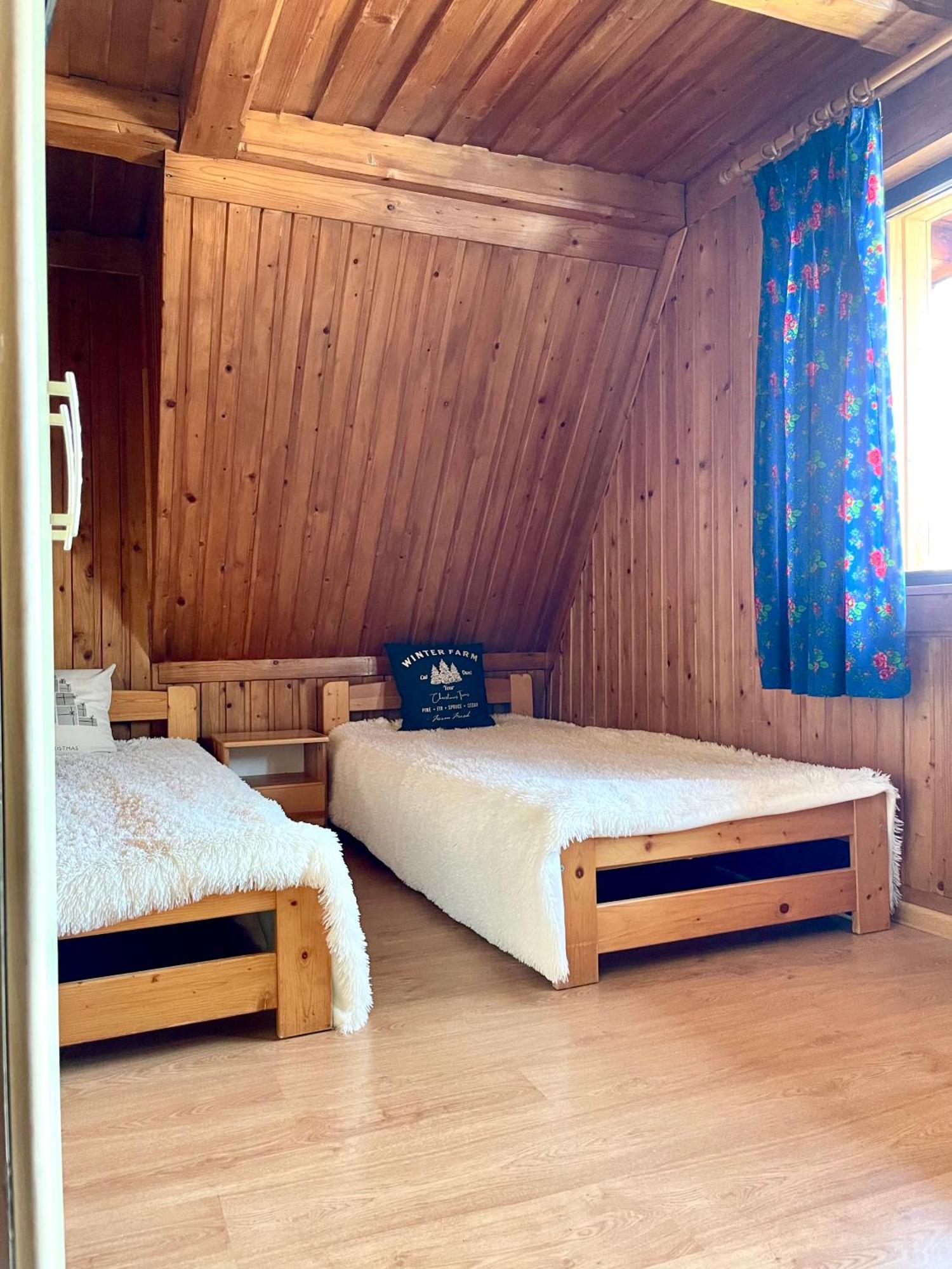 Z Giewontem W Tle Apart&Room 扎科帕内 外观 照片